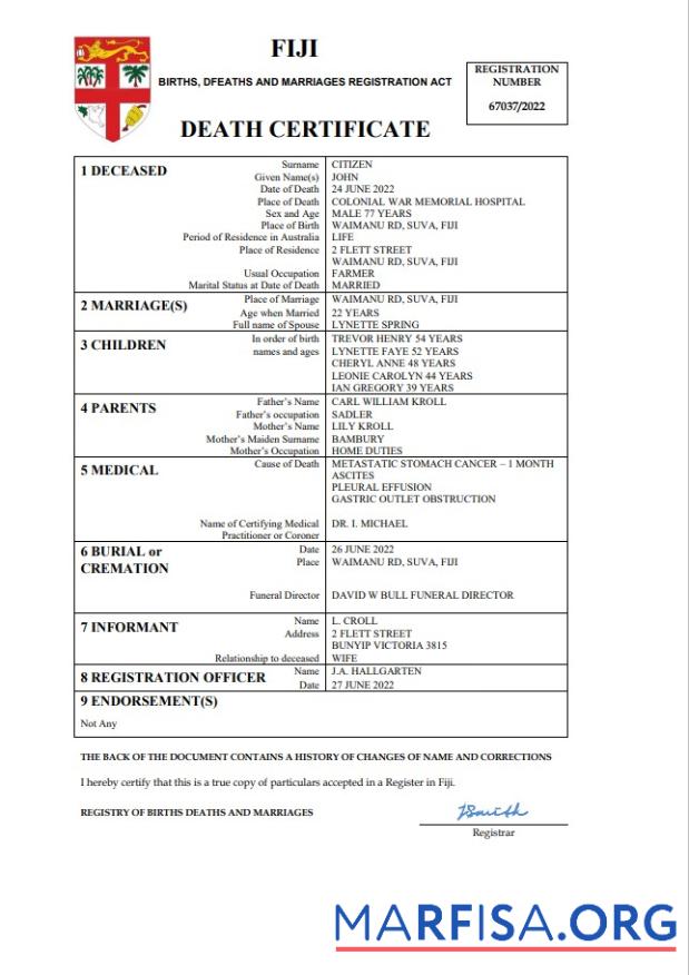 Realistic Fiji vital record death certificate Word and PDF template